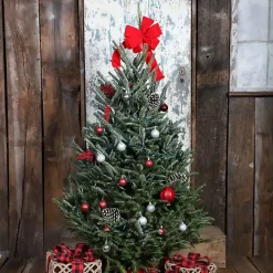 Hot 5 ft. Fresh Cut Fraser Fir Christmas Tree Christmas Trees