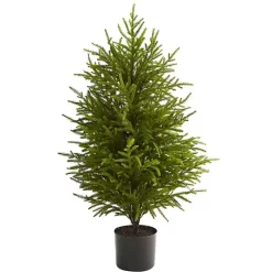Discount 3 ft. Norfolk Island Pine Potted Christmas Tree Christmas Arrangements & Garland