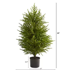 Discount 3 ft. Norfolk Island Pine Potted Christmas Tree Christmas Arrangements & Garland