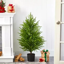 Discount 3 ft. Norfolk Island Pine Potted Christmas Tree Christmas Arrangements & Garland