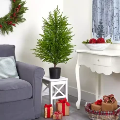 Discount 3 ft. Norfolk Island Pine Potted Christmas Tree Christmas Arrangements & Garland