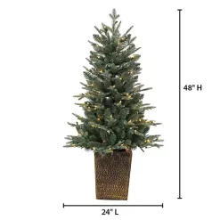 Sale 4 ft. Pre-Lit Blue Spruce Potted Christmas Tree Christmas Trees