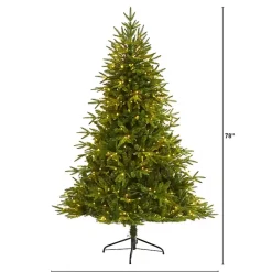 6.5 ft. Pre-Lit Colorado Mountain Christmas Tree Christmas Trees