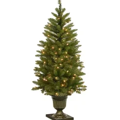 Best 4 ft. Pre-Lit Dunhill Fir Potted Christmas Tree Christmas Trees