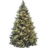 Hot 9 ft. Pre-Lit Flocked Carolina Pine Christmas Tree Christmas Trees