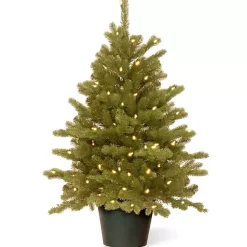 Discount 3 ft. Pre-Lit Hampton Spruce Potted Christmas Tree Christmas Arrangements & Garland