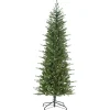 6.5 ft. Pre-Lit Narrow Dover Pine Christmas Tree Christmas Trees