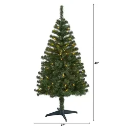 Online 4 ft. Pre-Lit Northern Pine Christmas Tree Christmas Trees