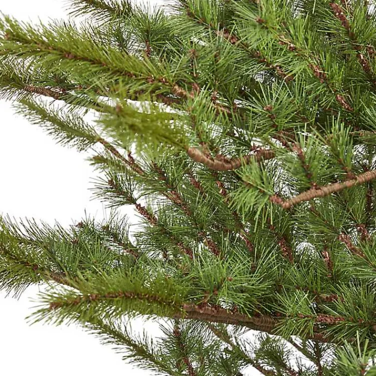 Discount 7 ft. Vancouver Mountain Pine Christmas Tree Christmas Trees