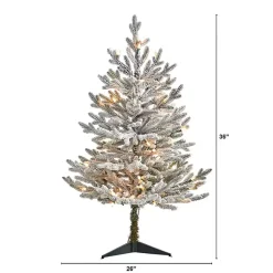 Discount 3 ft. White Lit Flocked Fraser Fir Christmas Tree Christmas Trees