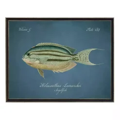 Kirklands Home Framed Art|Angelfish Framed Wall Art Blue