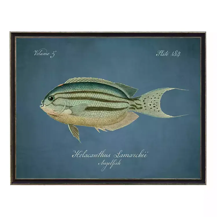 Kirklands Home Framed Art|Angelfish Framed Wall Art Blue