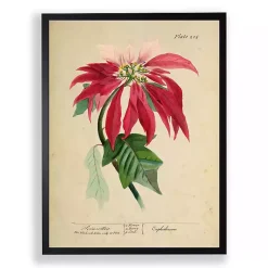 Best Antique Christmas Poinsettia Framed Art Print Christmas Art & Wall Decor