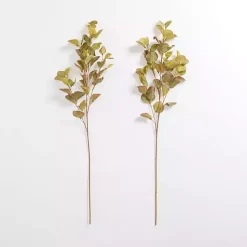 Antique Eucalyptus Stems, Set of 2 Stems & Bouquets