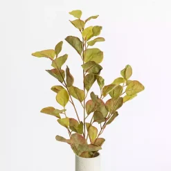 Antique Eucalyptus Stems, Set of 2 Stems & Bouquets