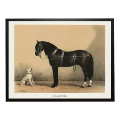 Kirklands Home Framed Art|Antiqued Horse and Dog Framed Wall Art Tan