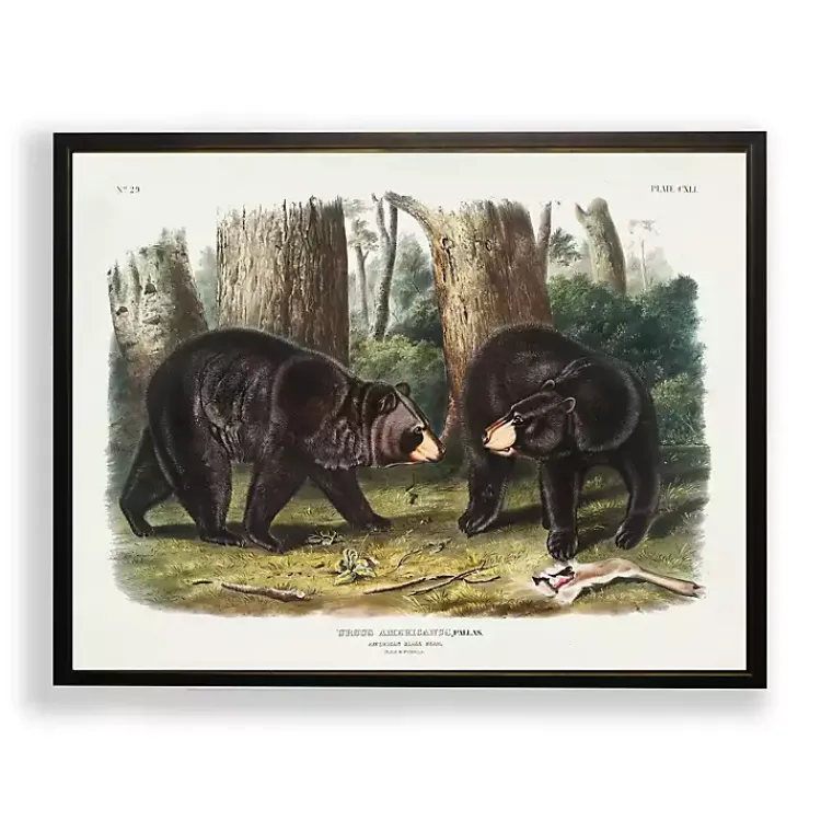 Kirklands Home Framed Art|Audubon Woodland Bears Framed Art Print