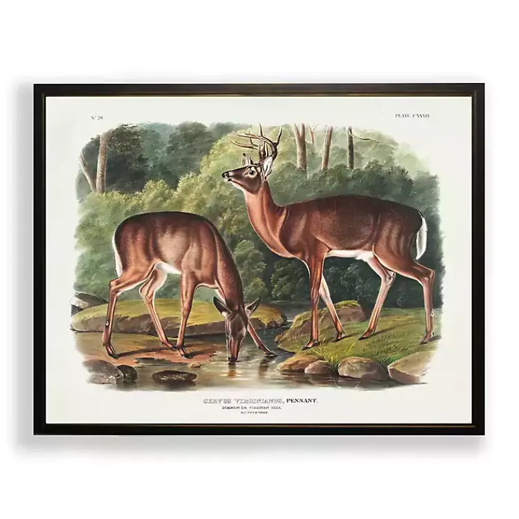 Kirklands Home Framed Art|Audubon Woodland Deer Framed Art Print