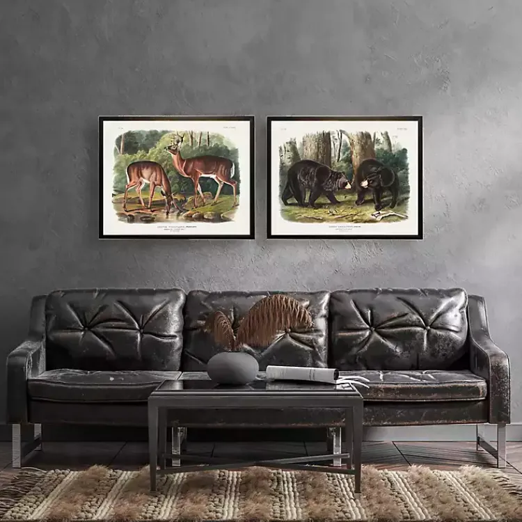 Kirklands Home Framed Art|Audubon Woodland Deer Framed Art Print