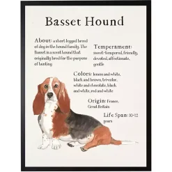 Kirklands Home Wall Quotes & Signs|Basset Hound Facts Framed Wall Plaque