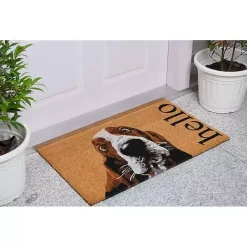 Kirklands Home Doormats|Basset Hound Hello Doormat Brown