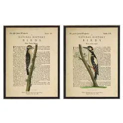 Kirklands Home Framed Art|Birds Diagram II Framed Art Prints, Set of 2 Ivory