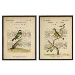 Kirklands Home Framed Art|Birds Diagram III Framed Art Prints, Set of 2 Ivory