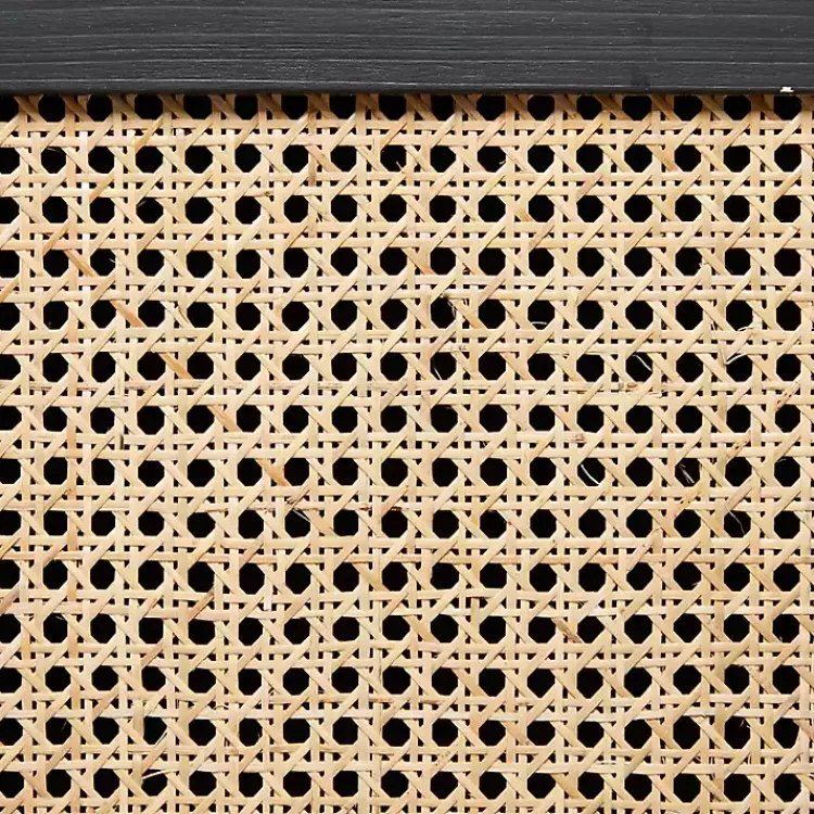 Kirklands Home Cabinets & Sideboards|Black Cane 2-Door Media Cabinet