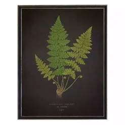 Kirklands Home Framed Art|Black Fern VI Framed Art Print