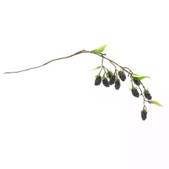 Best Blackberry Vine Sprays, Set of 6 Stems & Bouquets