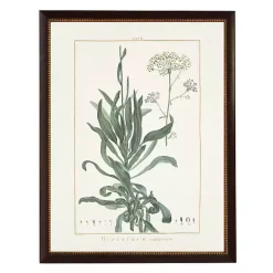 Kirklands Home Framed Art|Bupleurum Greenery Black Beaded Framed Art Print