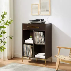 Kirklands Home Bookshelves|Cadence Gold Record Storage Bookcase