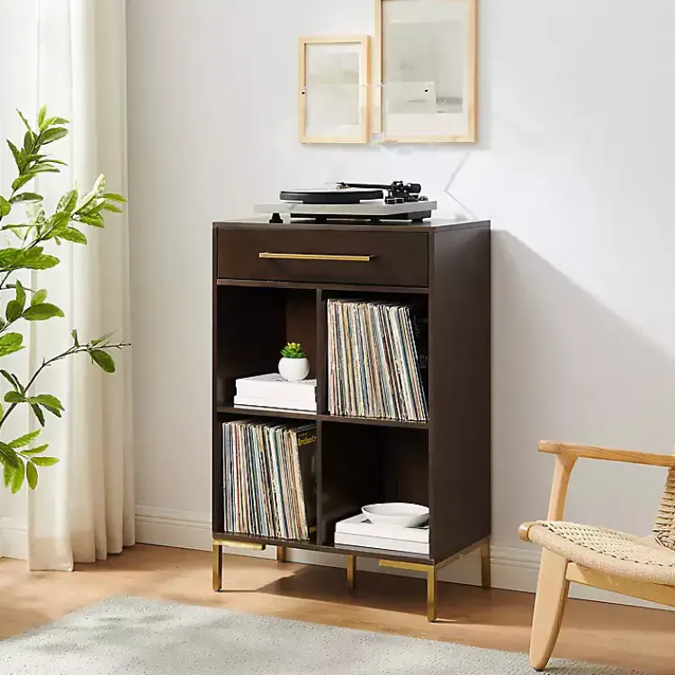 Kirklands Home Bookshelves|Cadence Gold Record Storage Bookcase