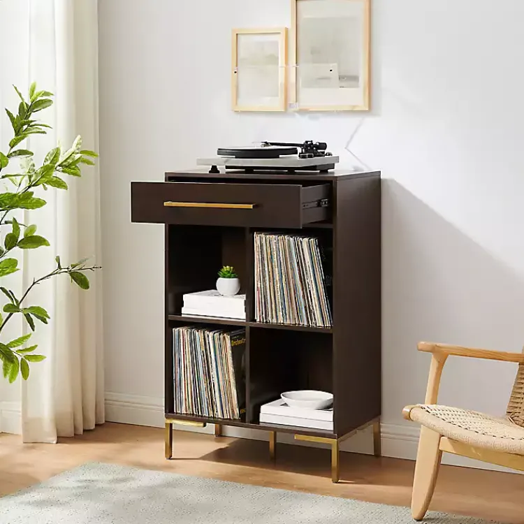 Kirklands Home Bookshelves|Cadence Gold Record Storage Bookcase