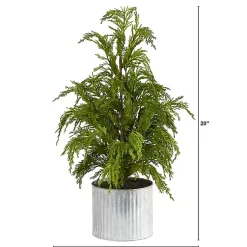 Sale Cedar Pine Mini Tree in Corrugated Metal Planter Christmas Arrangements & Garland