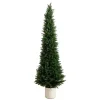 Best Cedar Tree in White Pot, 6 ft. Trees & Topiaries