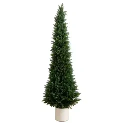 Best Cedar Tree in White Pot, 6 ft. Trees & Topiaries