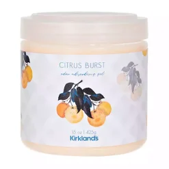 Best Citrus Burst Odor Absorber Home Fragrance