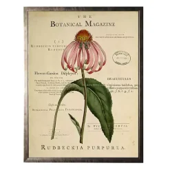 Kirklands Home Framed Art|Coneflower Botanical Magazine Framed Art Print Multi