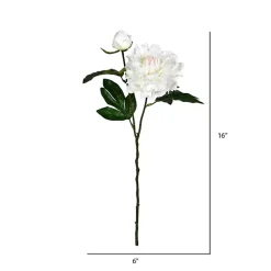 Online Cream Blooming Peony Stems, Set of 6 Stems & Bouquets