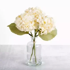 Best Cream Hydrangea Arrangement in Glass Vase Arrangements & Greenery