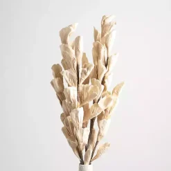 Sale Cream Shell Leaf Stem Stems & Bouquets