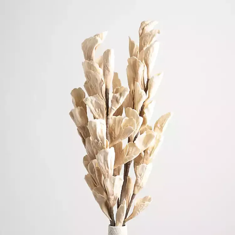 Sale Cream Shell Leaf Stem Stems & Bouquets