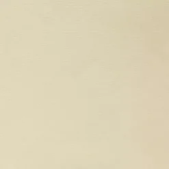 Kirklands Home Curtains & Drapes|Cream Weathermate Curtain Panel, 72 in Ivory