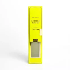 Hot Cucumber Cactus Diffuser Set Home Fragrance