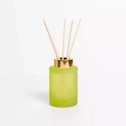 Hot Cucumber Cactus Diffuser Set Home Fragrance