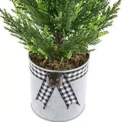 Cypress Mini Potted Christmas Tree Christmas Arrangements & Garland