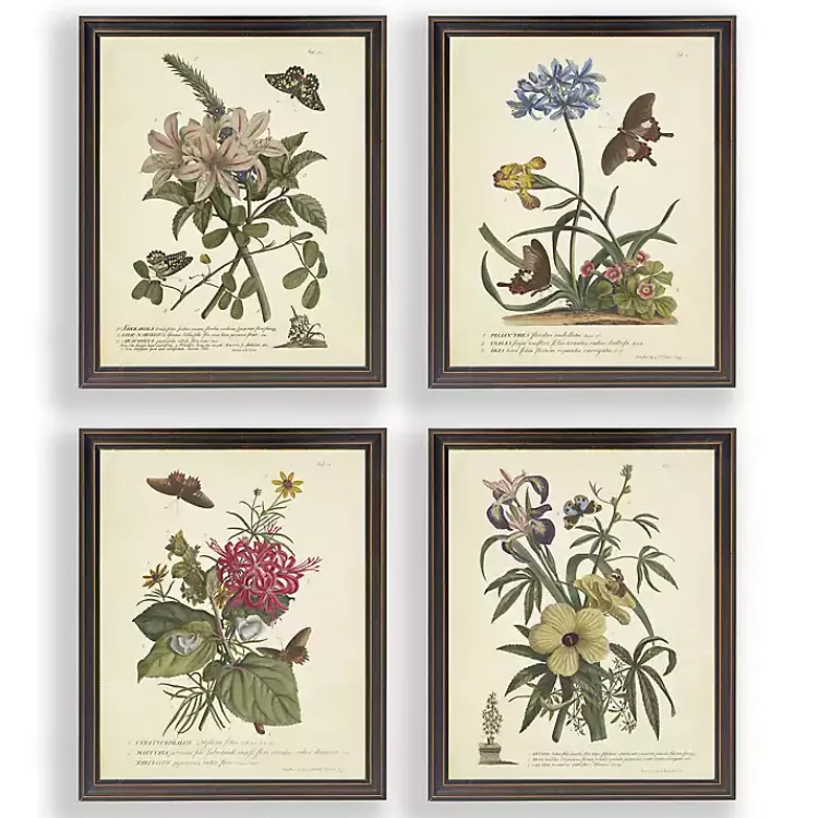 Kirklands Home Framed Art|Day Butterfly Blooms Framed Art Prints, Set of 4