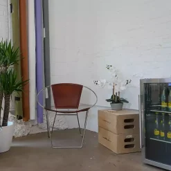 Clearance Desktop Orchid Arrangement in Gray Planter Arrangements & Greenery