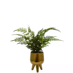 New Desktop Palm Plant in Gold Planter Arrangements & Greenery